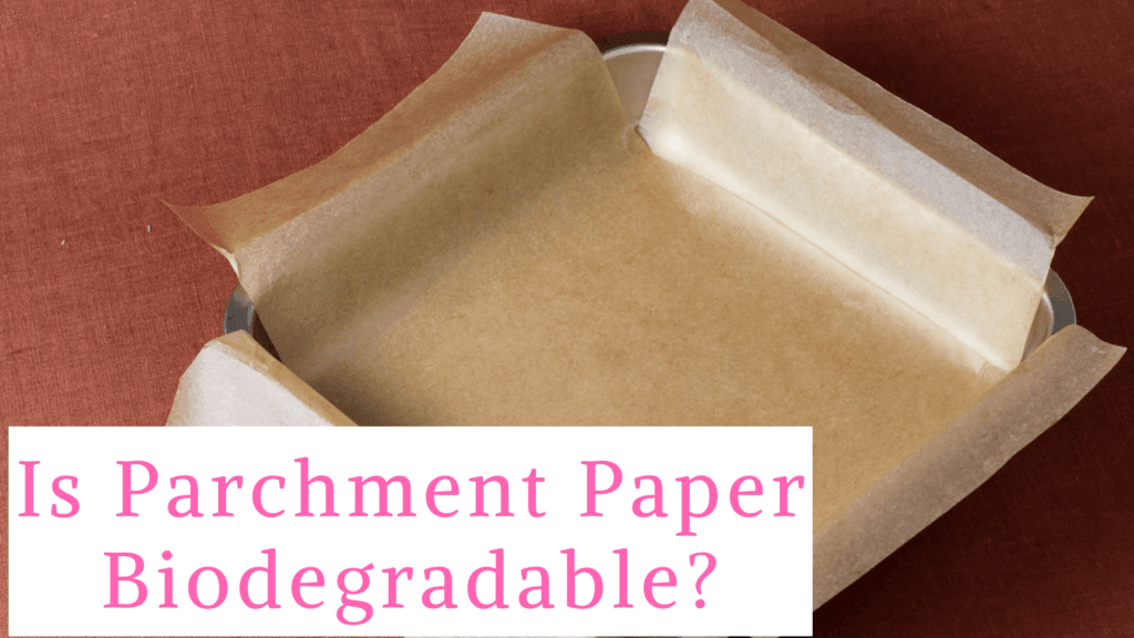 Is Parchment Paper Biodegradable?