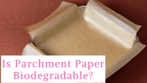 Is Parchment Paper Biodegradable?