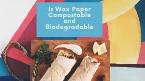 Is Wax Paper Compostable and Biodegradable Banner
