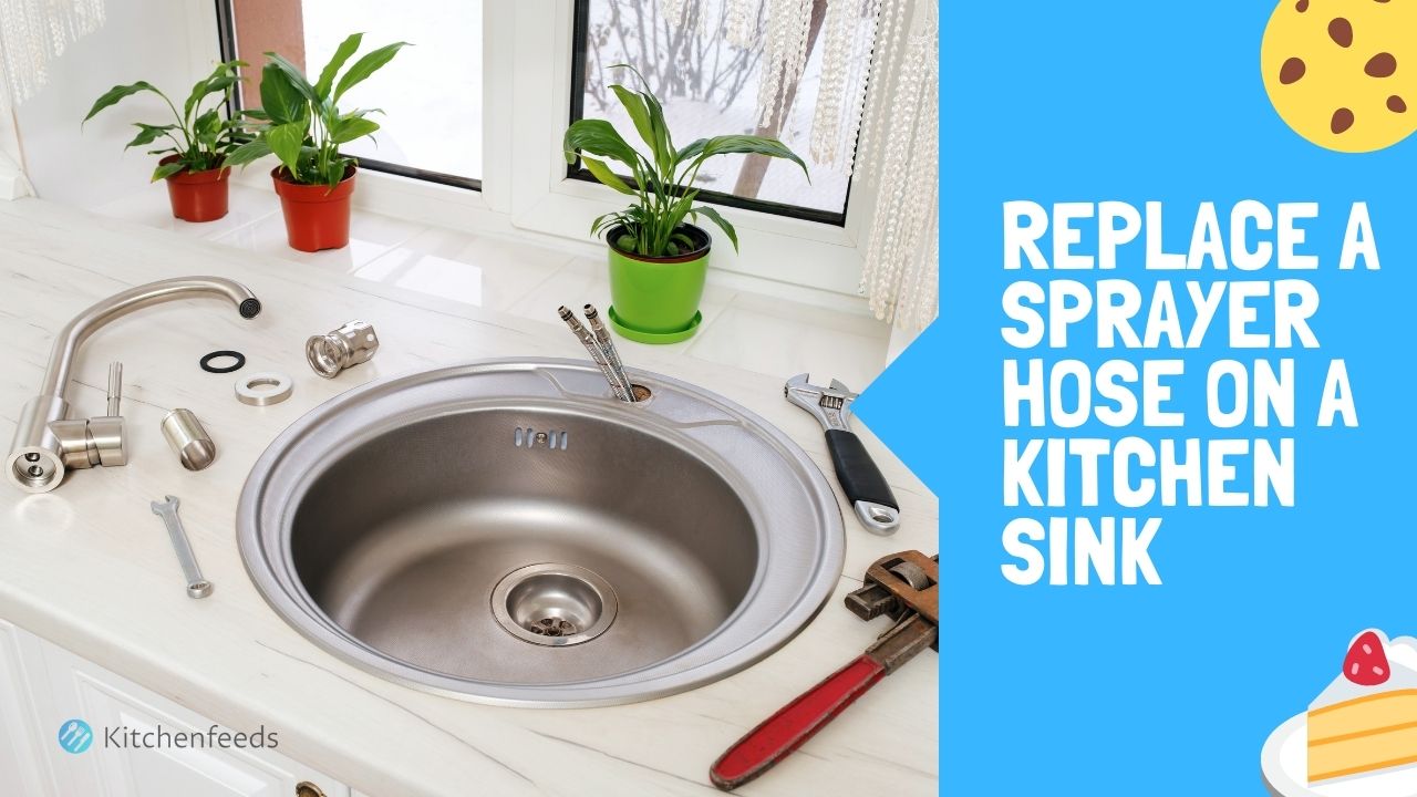 How to Replace a Sprayer Hose on a Kitchen Sink? Kitchenfeeds