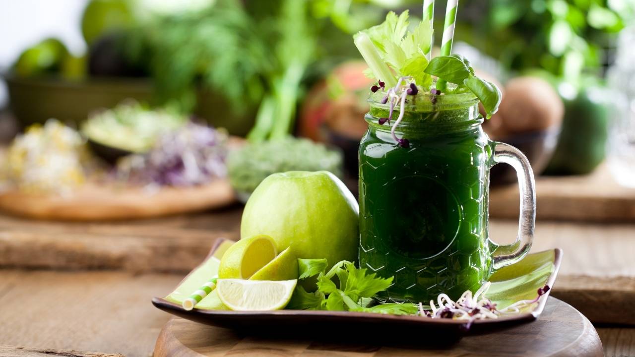 10 Best Breville Juicer 2022 (Buyer's Guide) Kitchenfeeds