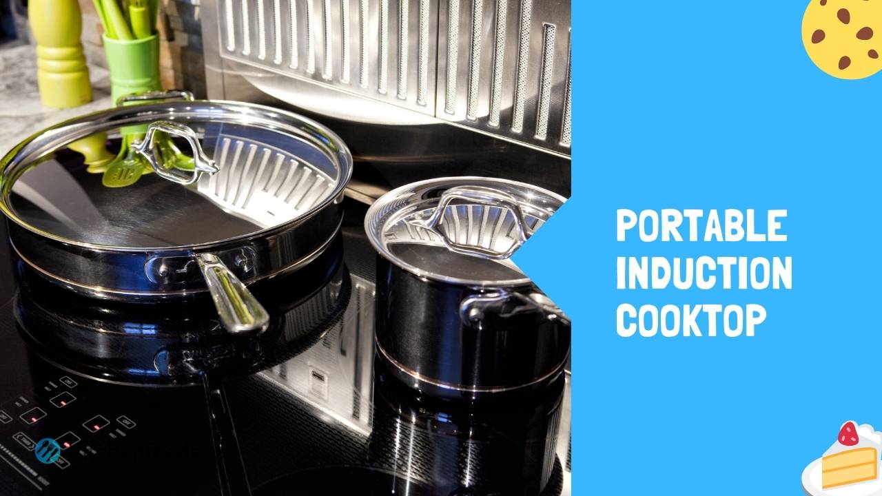 10 Best Portable Induction Cooktop (2022) Kitchenfeeds