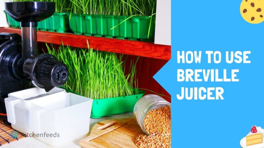How to Use Breville Juicer